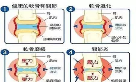 微信图片_20191106155500.jpg