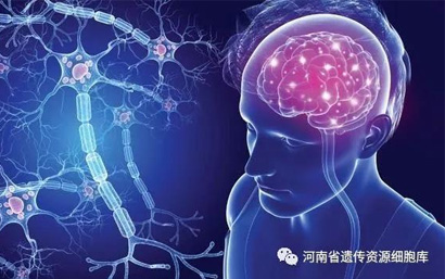 干细胞治疗：让11种重大疾病不再可怕