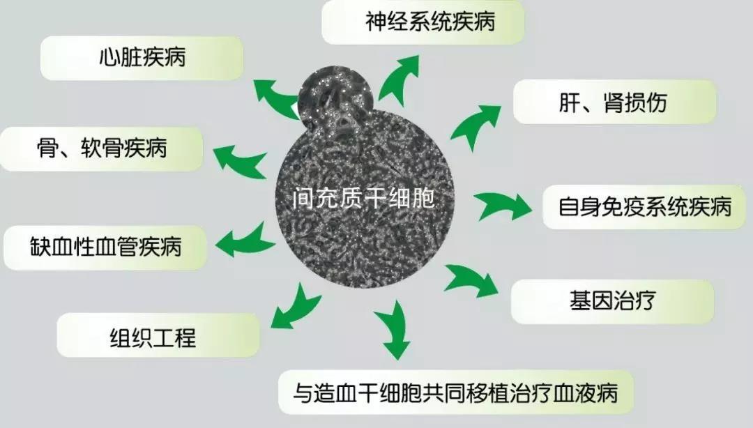 微信图片_20191108155226.jpg