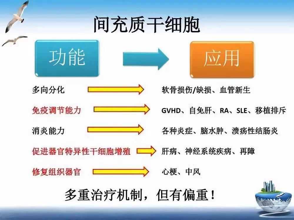 微信图片_20191108155253.jpg