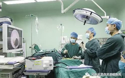 决定干细胞治疗效果的几点重要因素